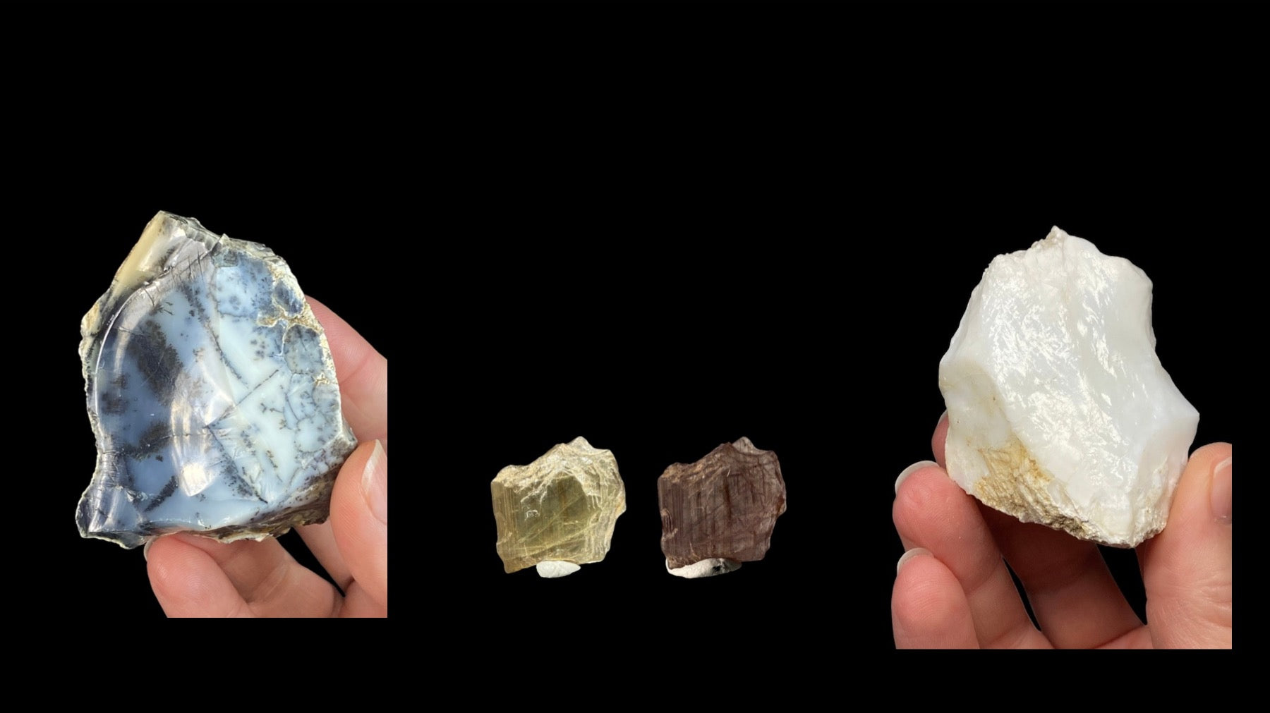 Turkish Specimens