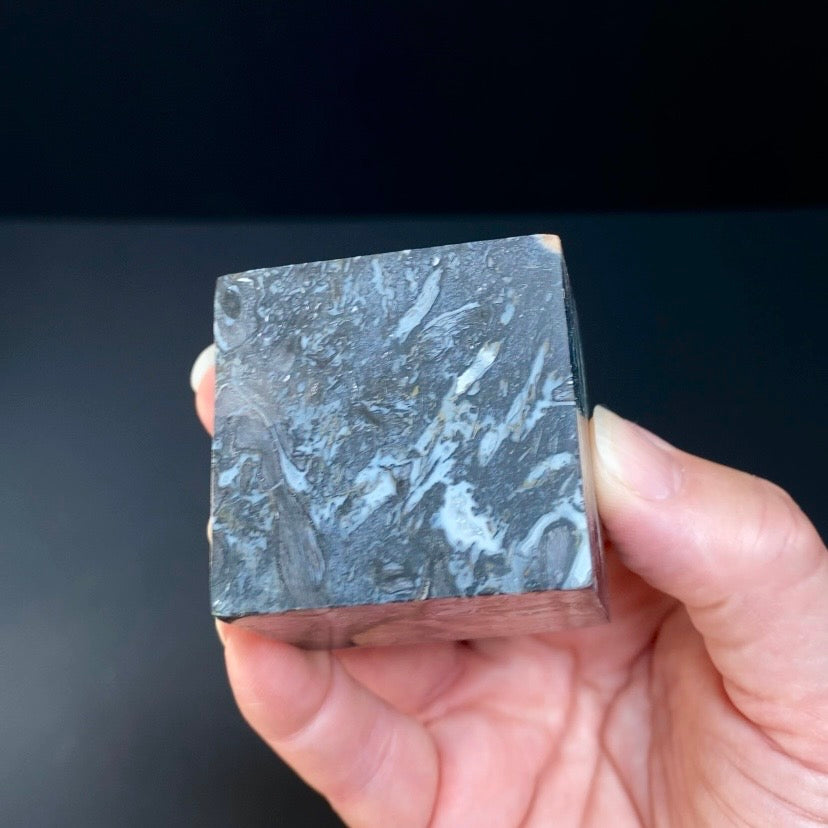 Fossilized Palm Root Ball Polished Cube from Sumatra, Indonesia