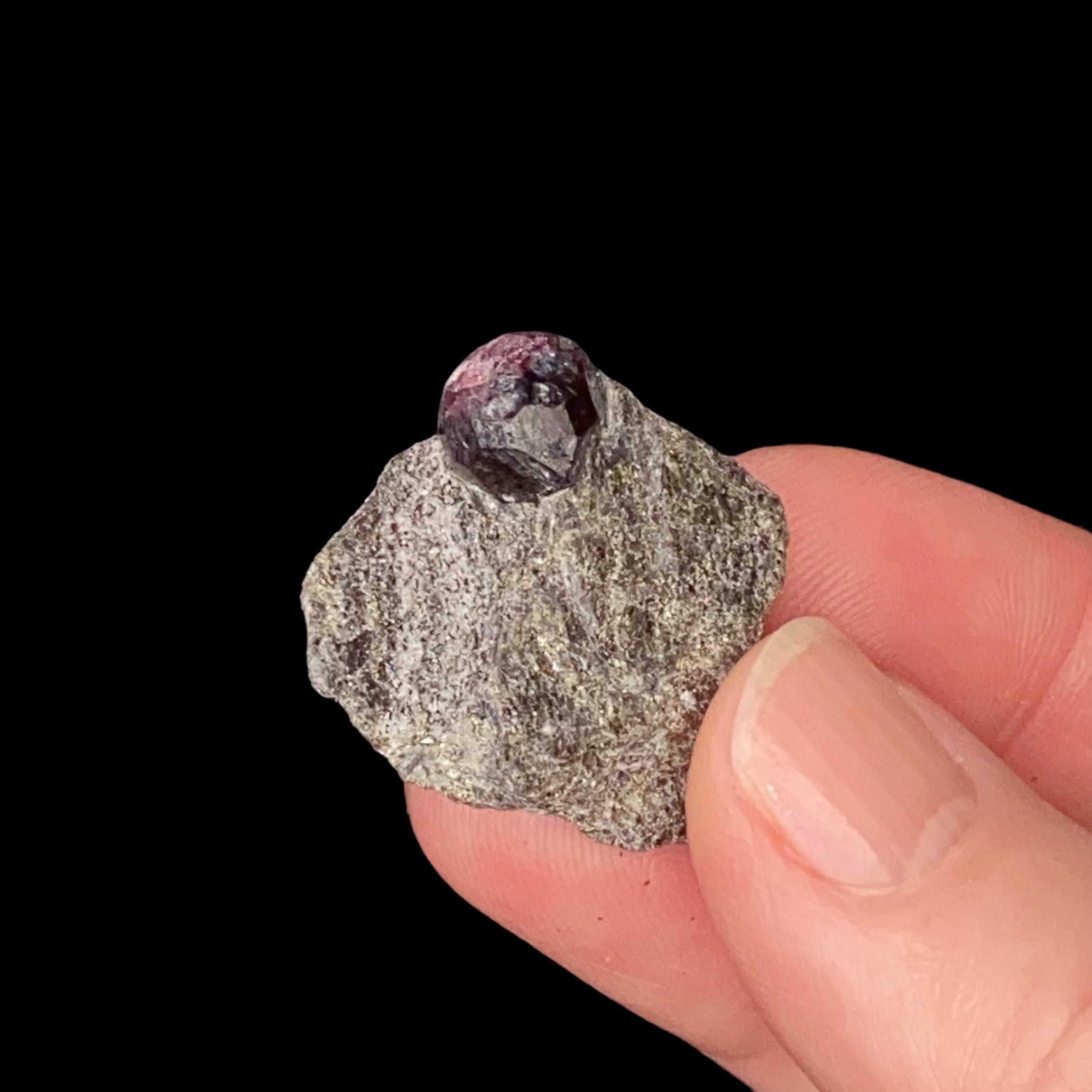Almandine Garnet in Mica Schist, From the Famous Garnet Ledge, Wrangell, Alaska
