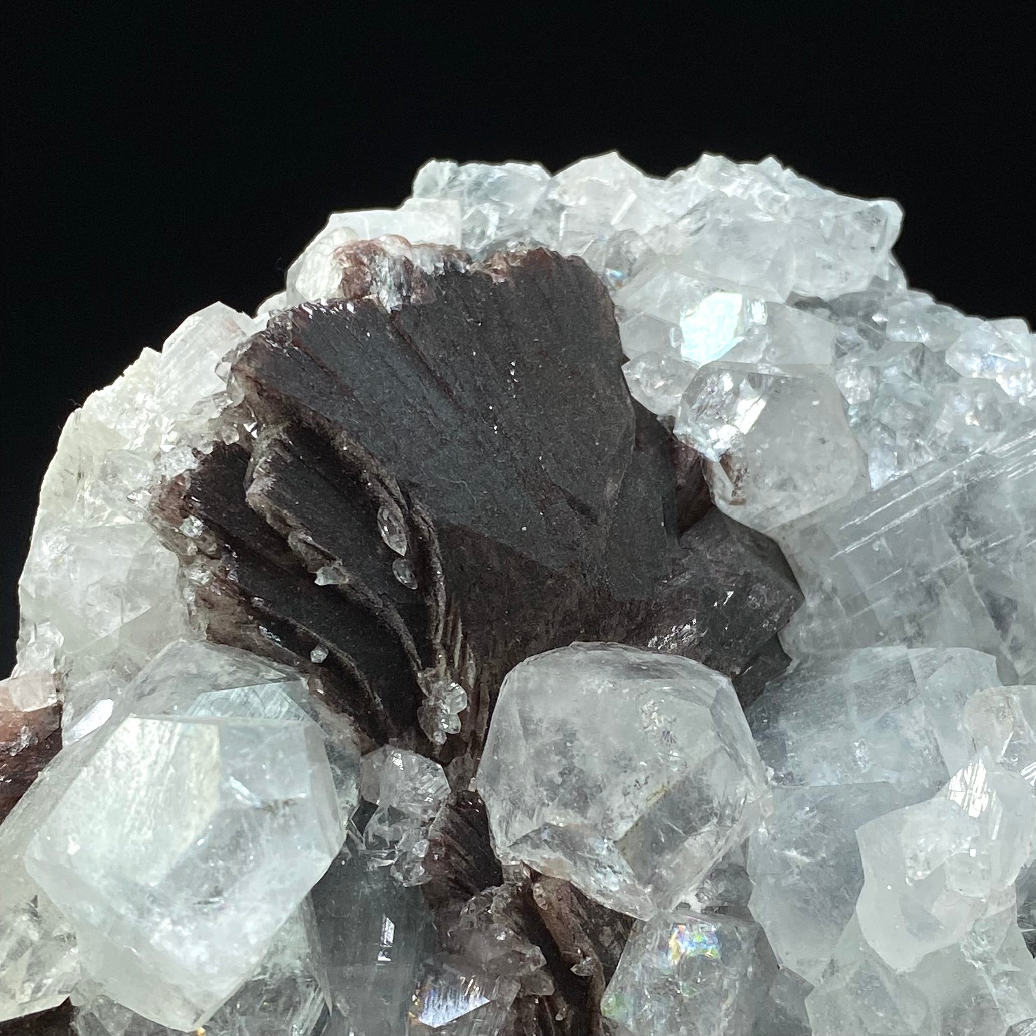 Rare Red-Brown Heulandite Fans with Clear Apophyllite Crystals in a Trimmed-out Pocket of Volcanic Basalt Matrix