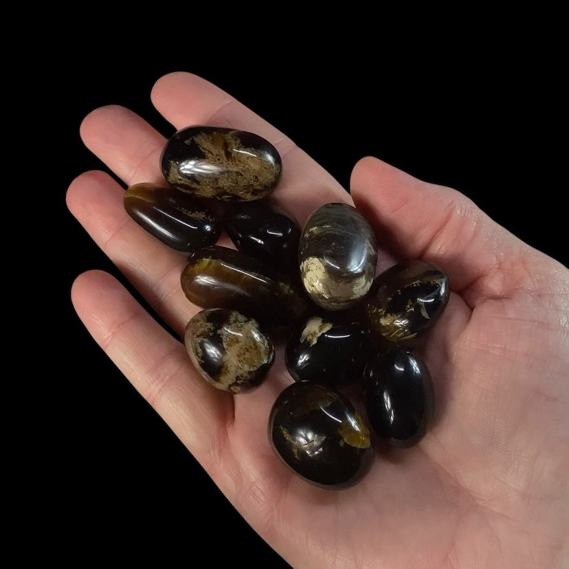 ONE Sumatran Amber Tumbled Stone, Two Sizes Available