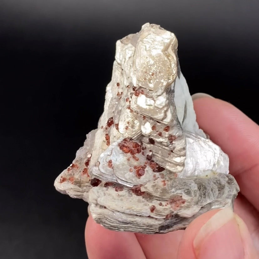 Spessartine Garnets on Muscovite Mica, Shigar Valley, Pakistan