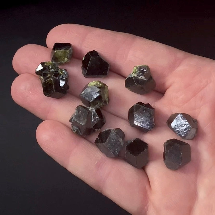 Andradite Garnet Crystal from Afghanistan - Two Sizes Available