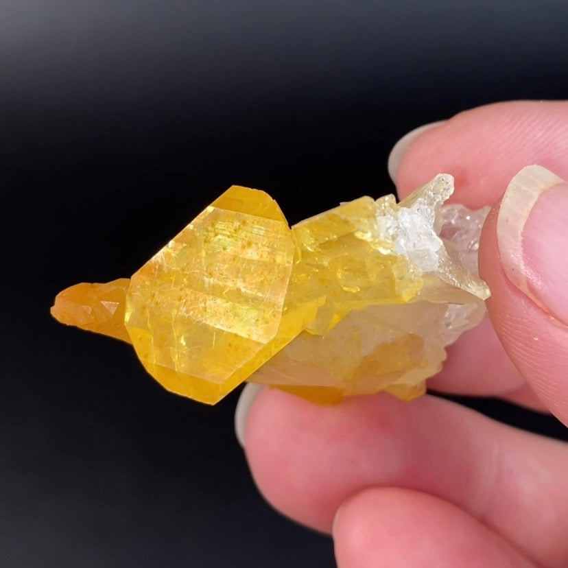 Golden Quartz Crystal Cluster with Natural Rainbow Iridescent Iron Oxide Surface - Natural Crystals