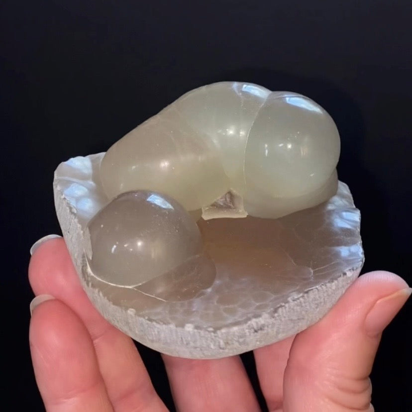 Botryoidal Chalcedony Formed in Basalt Vesicle – Maharashtra, India