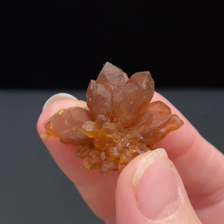 Floater Citrine Colored Honey Brown Quartz Flower Cluster - Midelt, Morocco