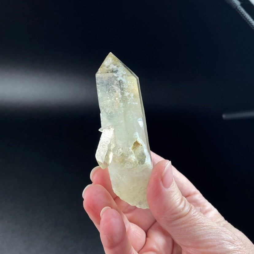 Natural Golden Smoky Citrine Isis Generator Quartz Crystal with Bridge - Penetrator Crystals
