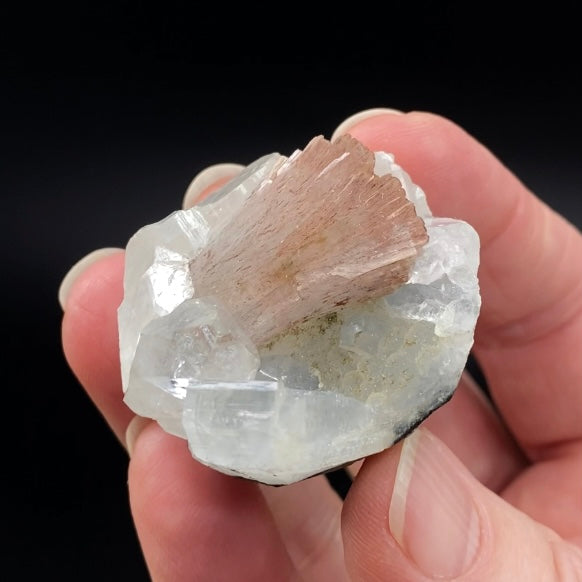 Pink Heulandite Fan with Clear Apophyllite Crystals in a Trimmed-out Pocket of Volcanic Basalt Matrix