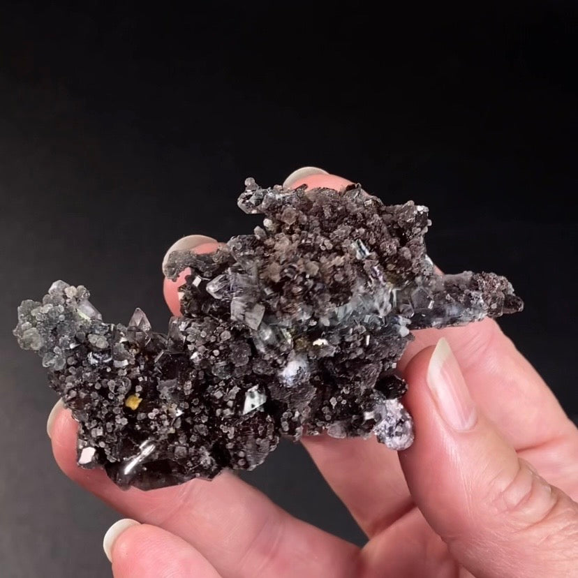 Chocolate Marshy Apophyllite Cluster with Chalcedony from Jalgaon, Maharashtra, India - Natural Crystal Cluster