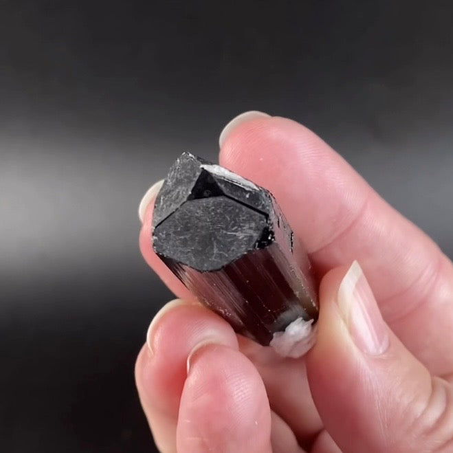 Terminated Black Tourmaline Schorl Crystal from Shigar Valley, Pakistan