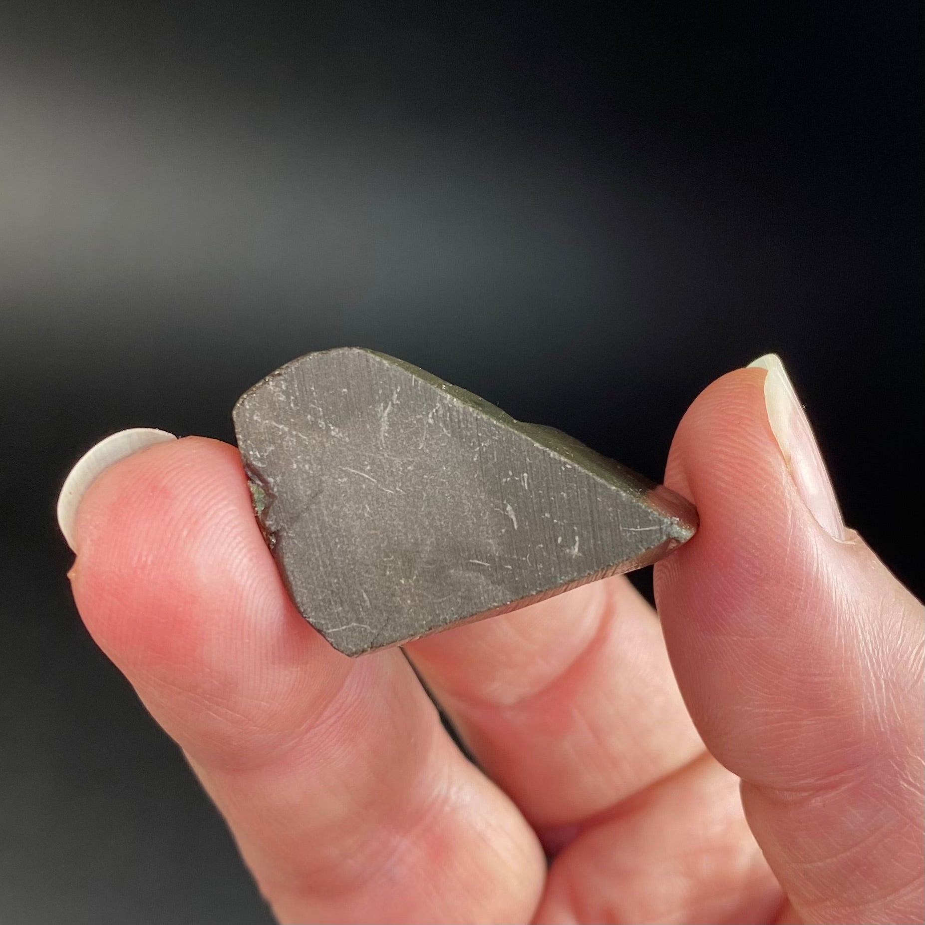 Canadian Korite Ammolite Hand Specimen