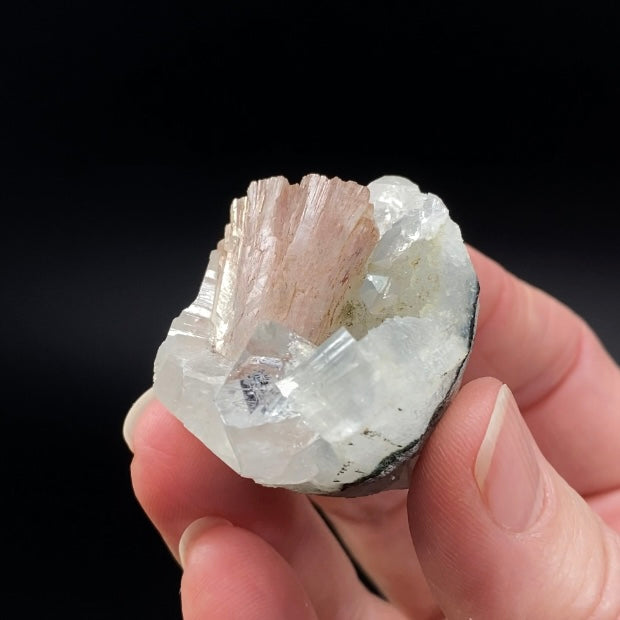 Pink Heulandite Fan with Clear Apophyllite Crystals in a Trimmed-out Pocket of Volcanic Basalt Matrix