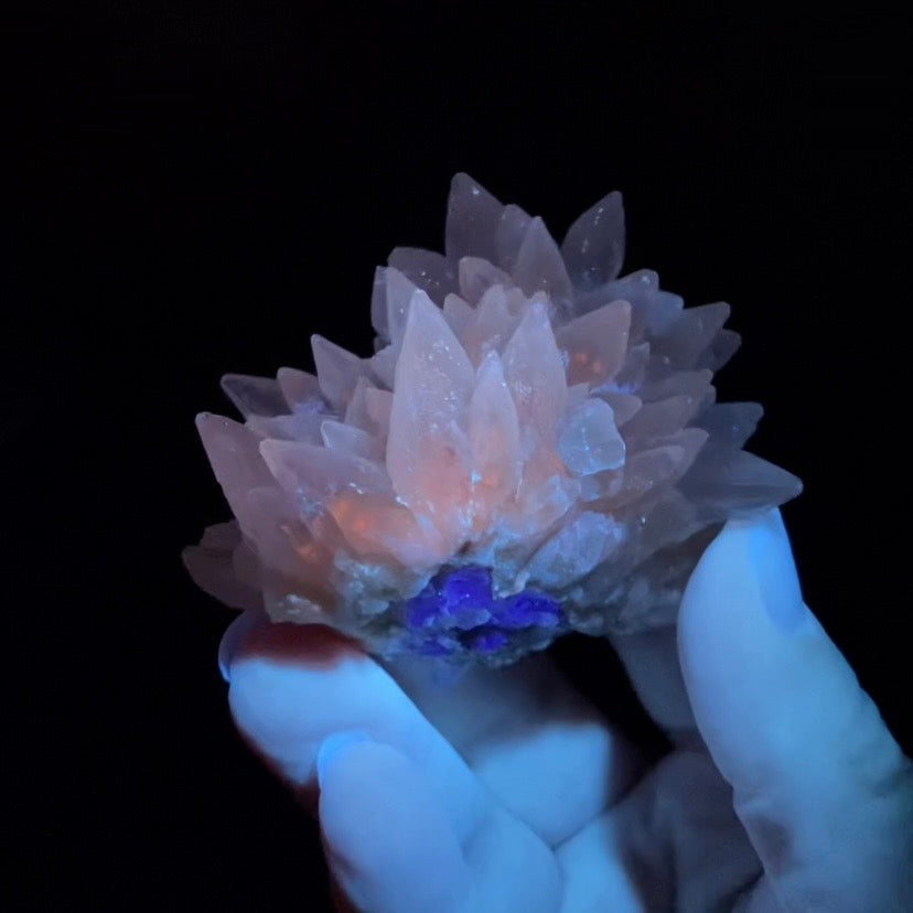 Scalenohedral DogTooth Calcite on Blue Purple Fluorite Matrix, UV Reactive, Fluorescent