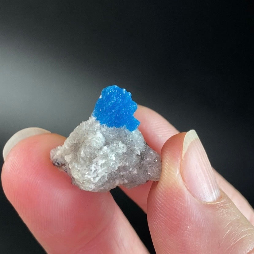 Vibrant Blue Cavansite Cluster on Druzy Stilbite & Basalt Matrix