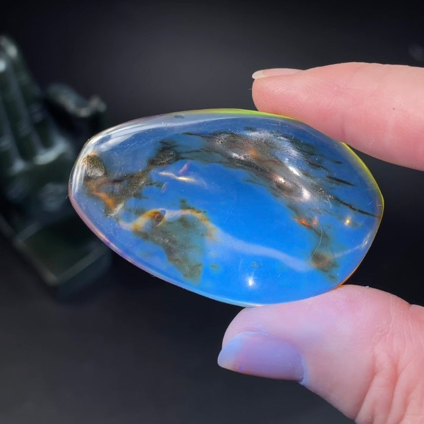 Polished Amber with Inclusions from Cimitarra, Colombia