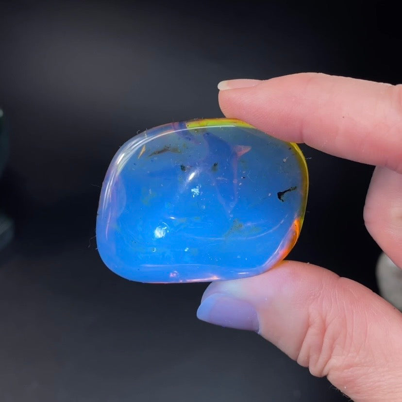 Polished Amber with Inclusions from Cimitarra, Colombia