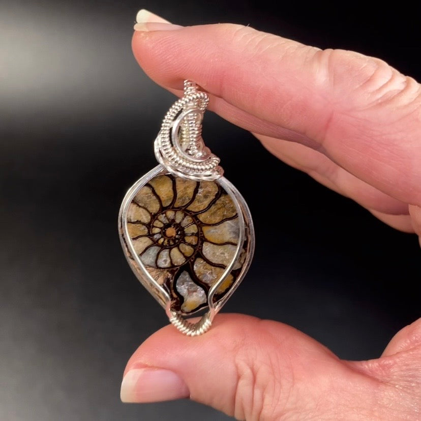 Polished Ammonite Fossil & Sterling Silver Wire Wrapped Pendant