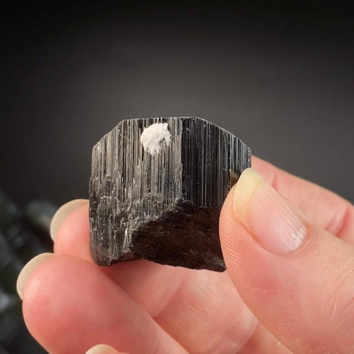 Terminated Black Tourmaline Schorl Crystal from Shigar Valley, Pakistan