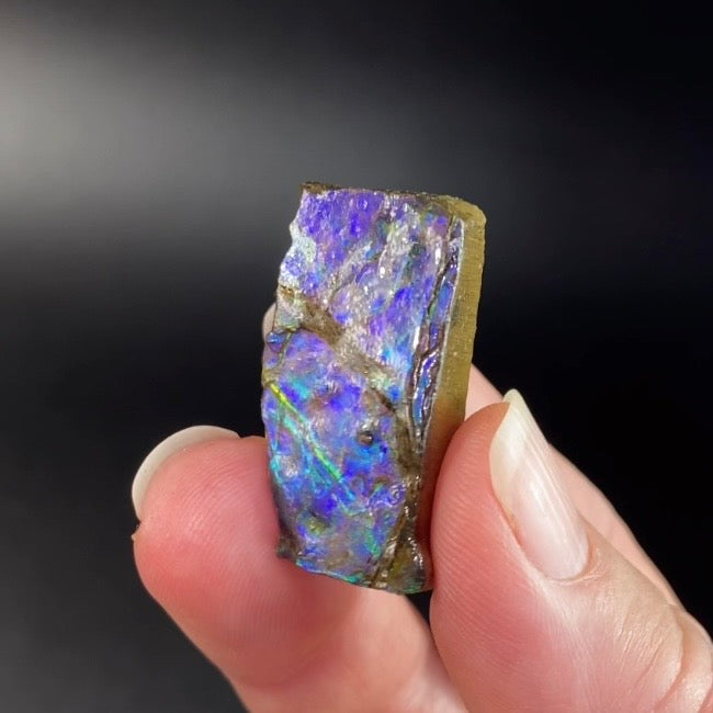 Purple and Green Canadian Korite Ammolite Hand Specimen