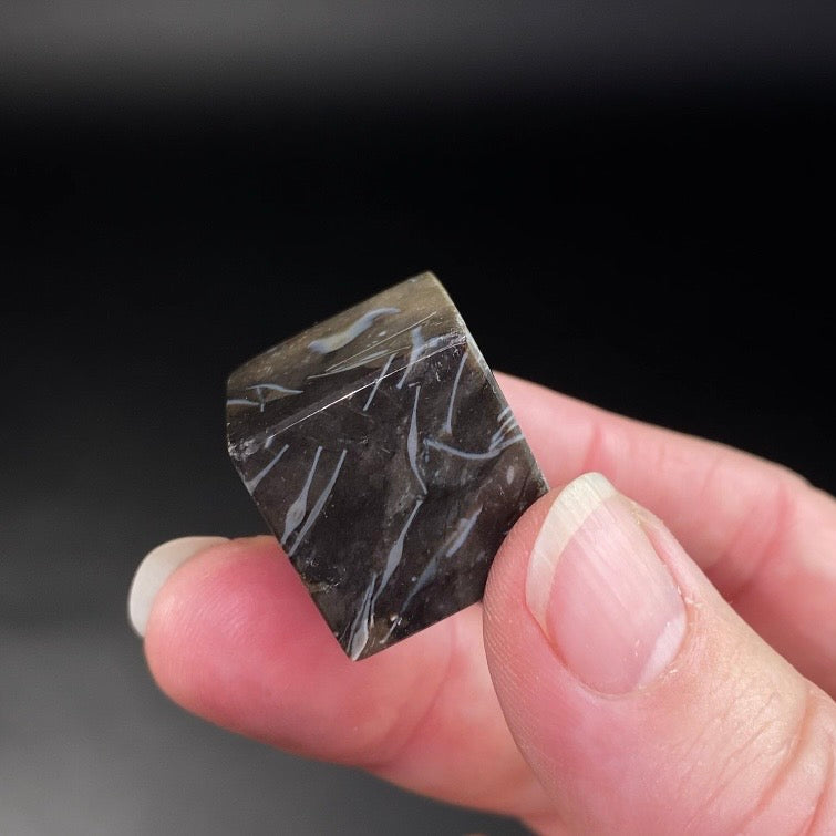 Feather Agate Polished Cube