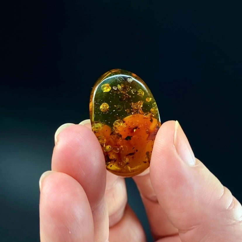 Polished Amber with Inclusions from Cimitarra, Colombia