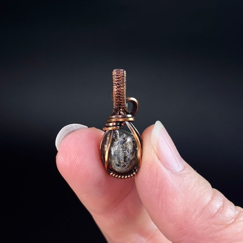 Fossilized 380 Million Year Old Pleurodictyum Coral & Copper Wire Wrapped Pendant