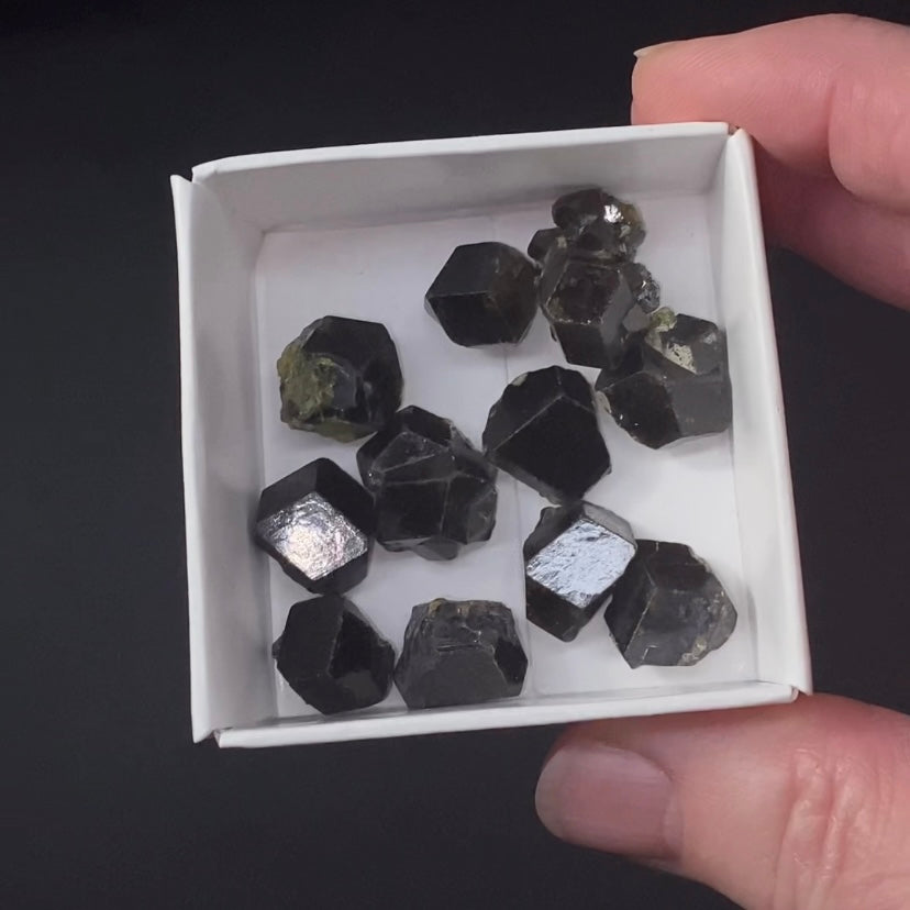 Andradite Garnet Crystal from Afghanistan - Two Sizes Available