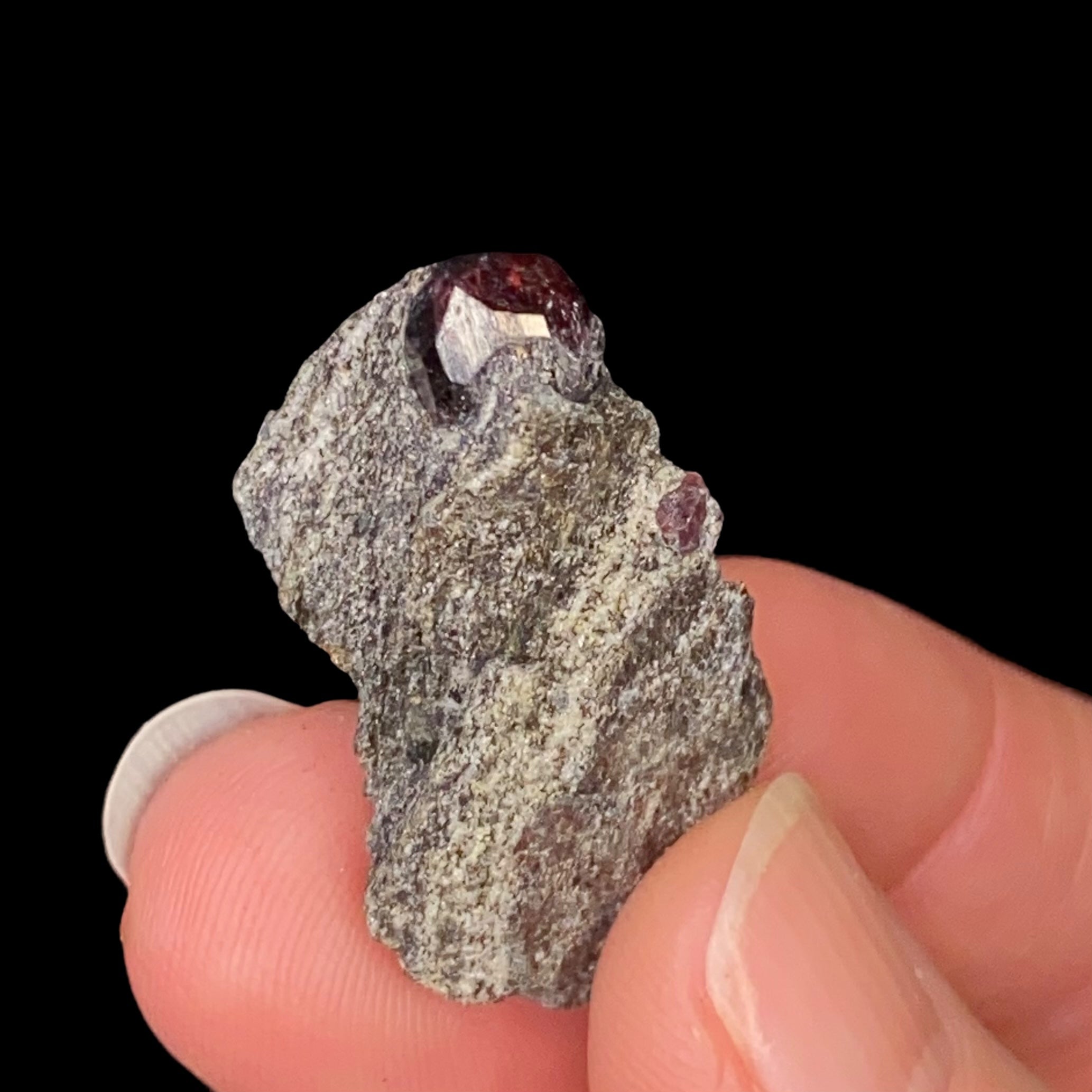 Almandine Garnet in Mica Schist, From the Famous Garnet Ledge, Wrangell, Alaska