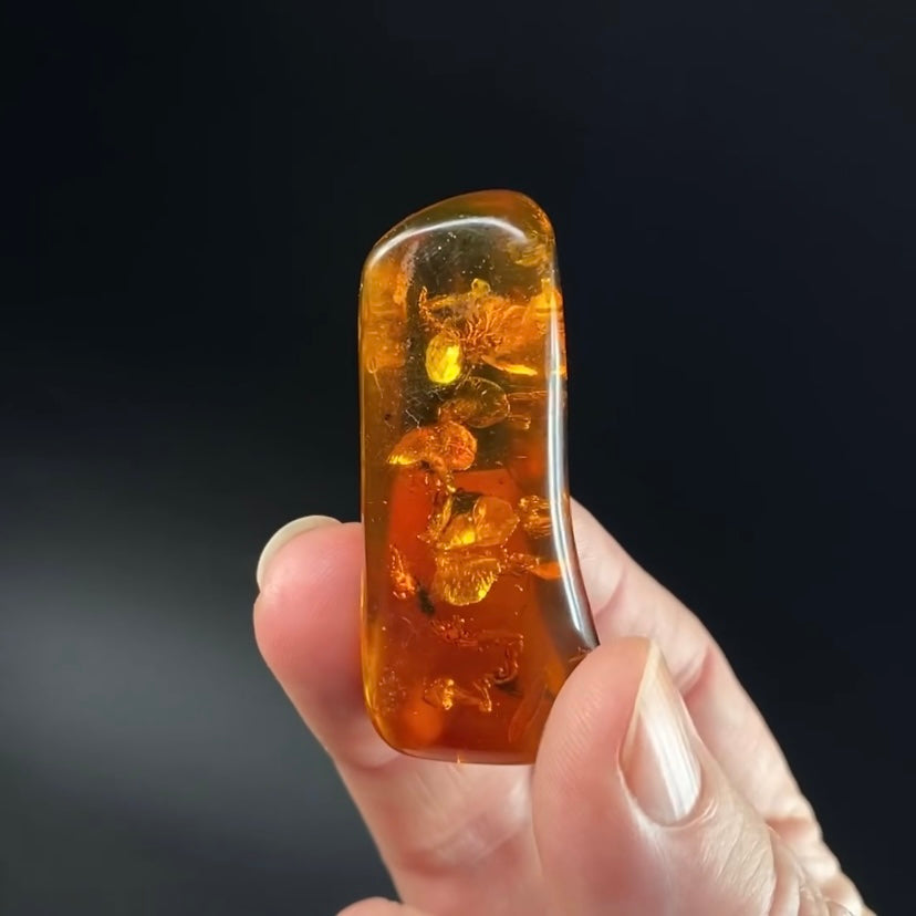Polished Colombian Amber with Inclusions from Cimitarra, Fluorescent