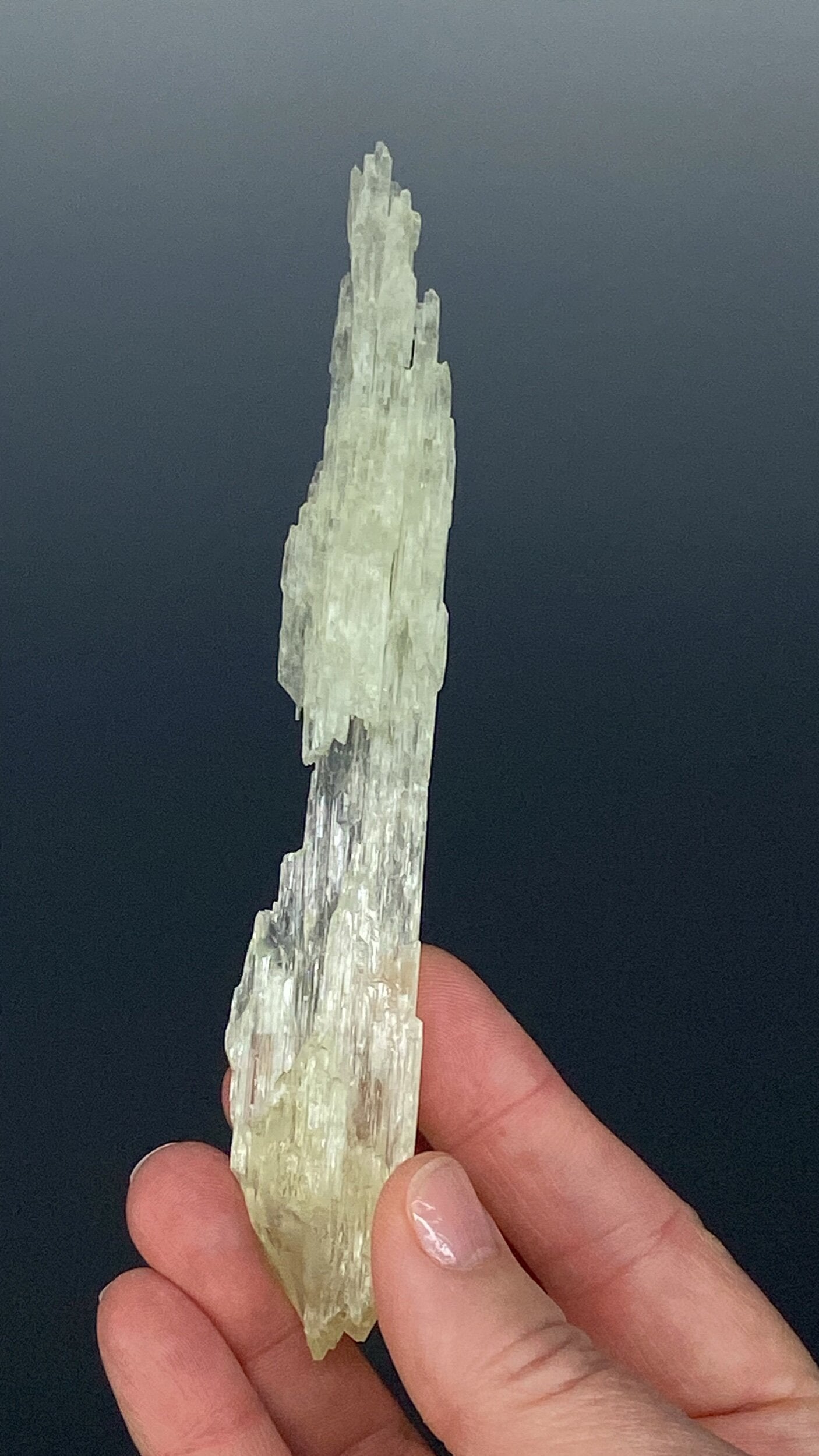 Etched Yellow Triphane / Spodumene Crystal - Yellow Kunzite - UV Reactive