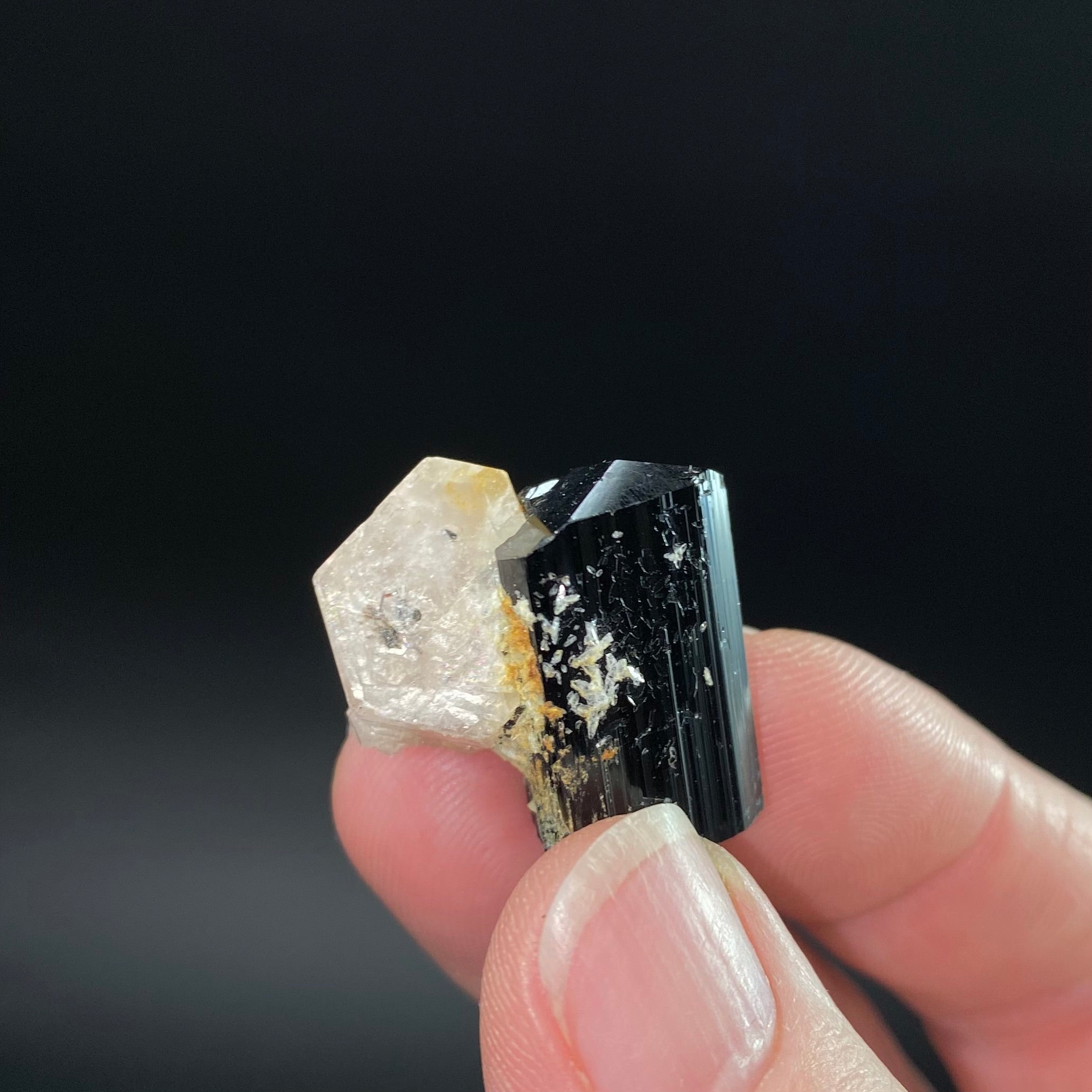 Double Terminated Apatite Crystal with Black Tourmaline and Albite