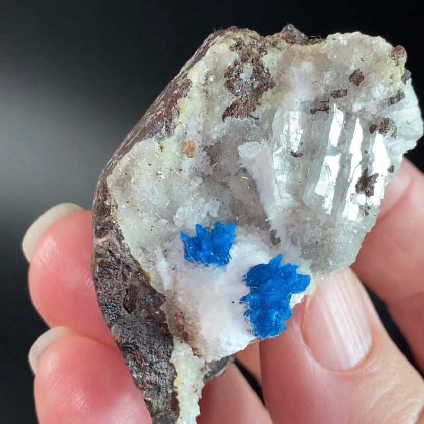 Vibrant Blue Cavansite & Pentagonite Clusters on Druzy Stilbite Over Basalt Matrix