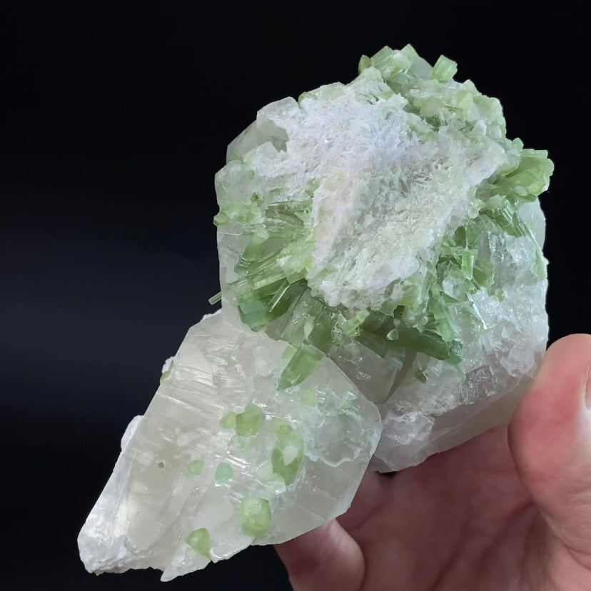 Green Tourmaline Crystals with Lepidolite on Quartz, Laghman, Afghanistan