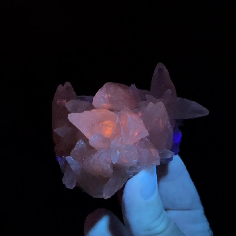 Scalenohedral DogTooth Calcite on Blue Purple Fluorite Matrix, UV Reactive, Fluorescent