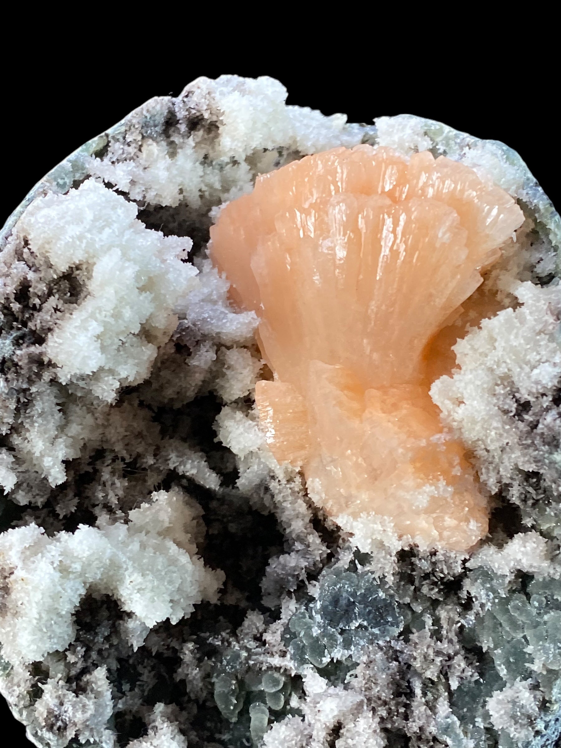 Pink Heulandite Fan Cluster with Apophyllite Crystals & Chalcedony in a Trimmed Pocket of Volcanic Basalt Matrix