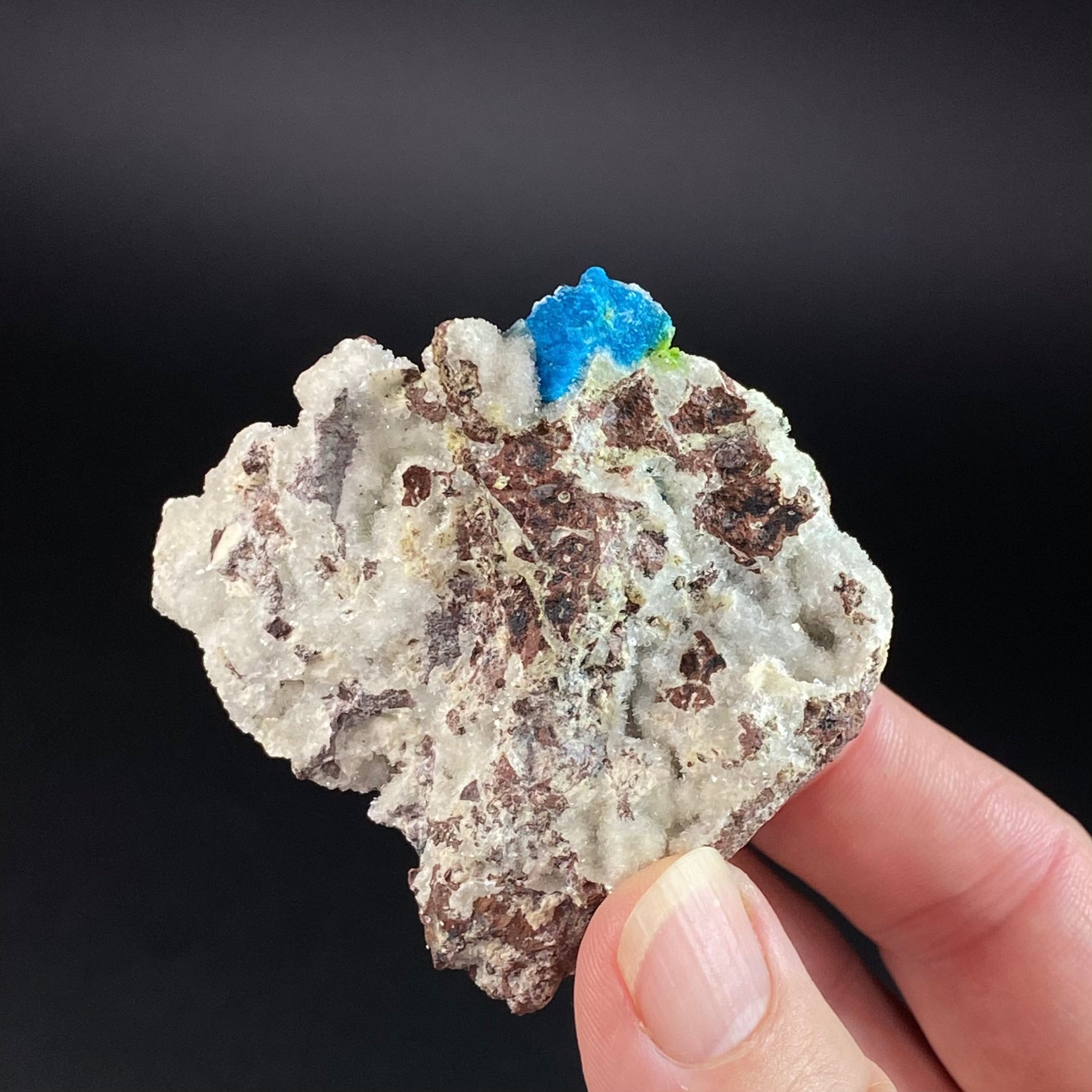 Vibrant Blue Cavansite Cluster on Druzy Quartz & Basalt Matrix