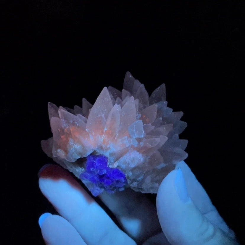 Scalenohedral DogTooth Calcite on Blue Purple Fluorite Matrix, UV Reactive, Fluorescent