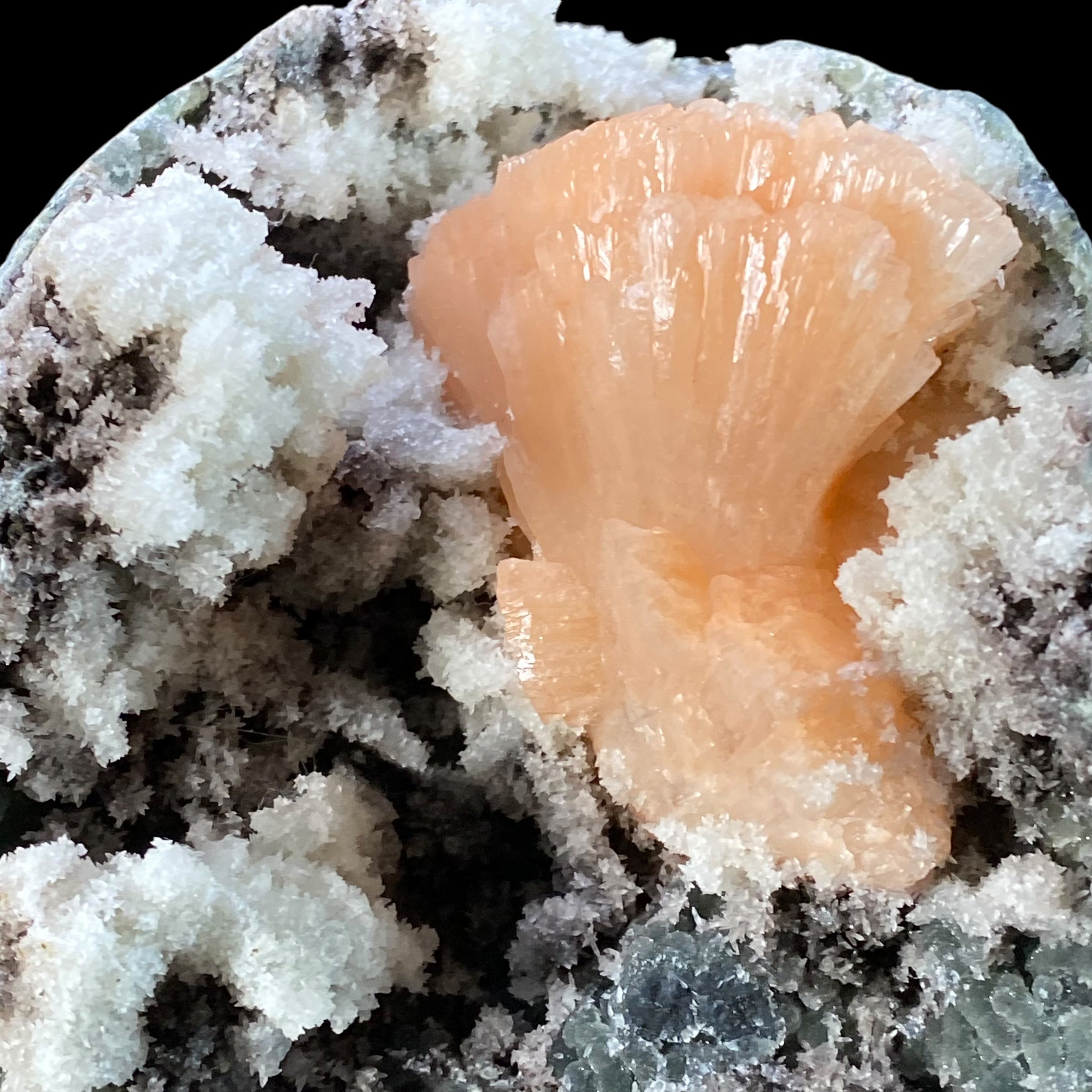 Pink Heulandite Fan Cluster with Apophyllite Crystals & Chalcedony in a Trimmed Pocket of Volcanic Basalt Matrix