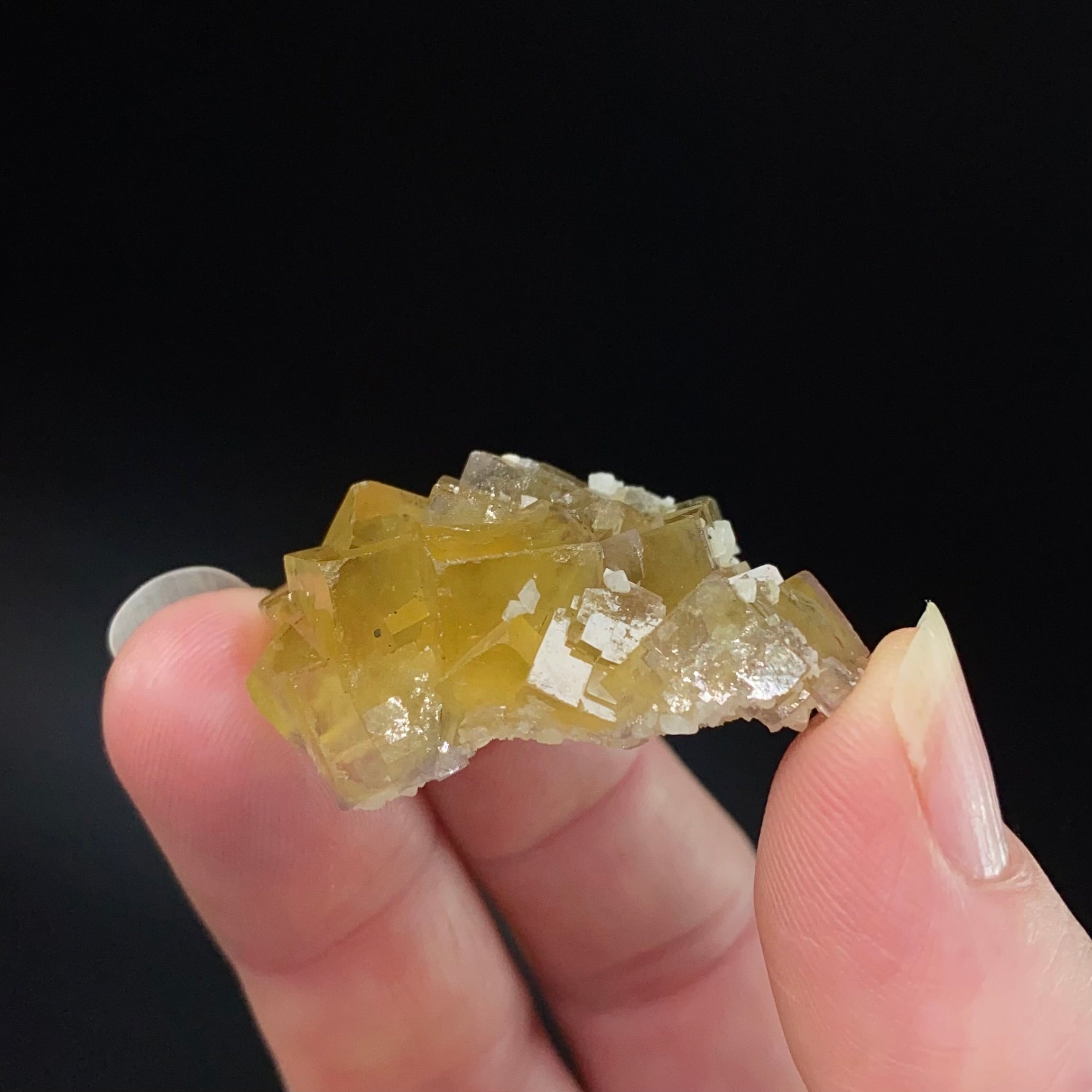Yellow Moscona Cubic Fluorite Cluster from Asturias Spain