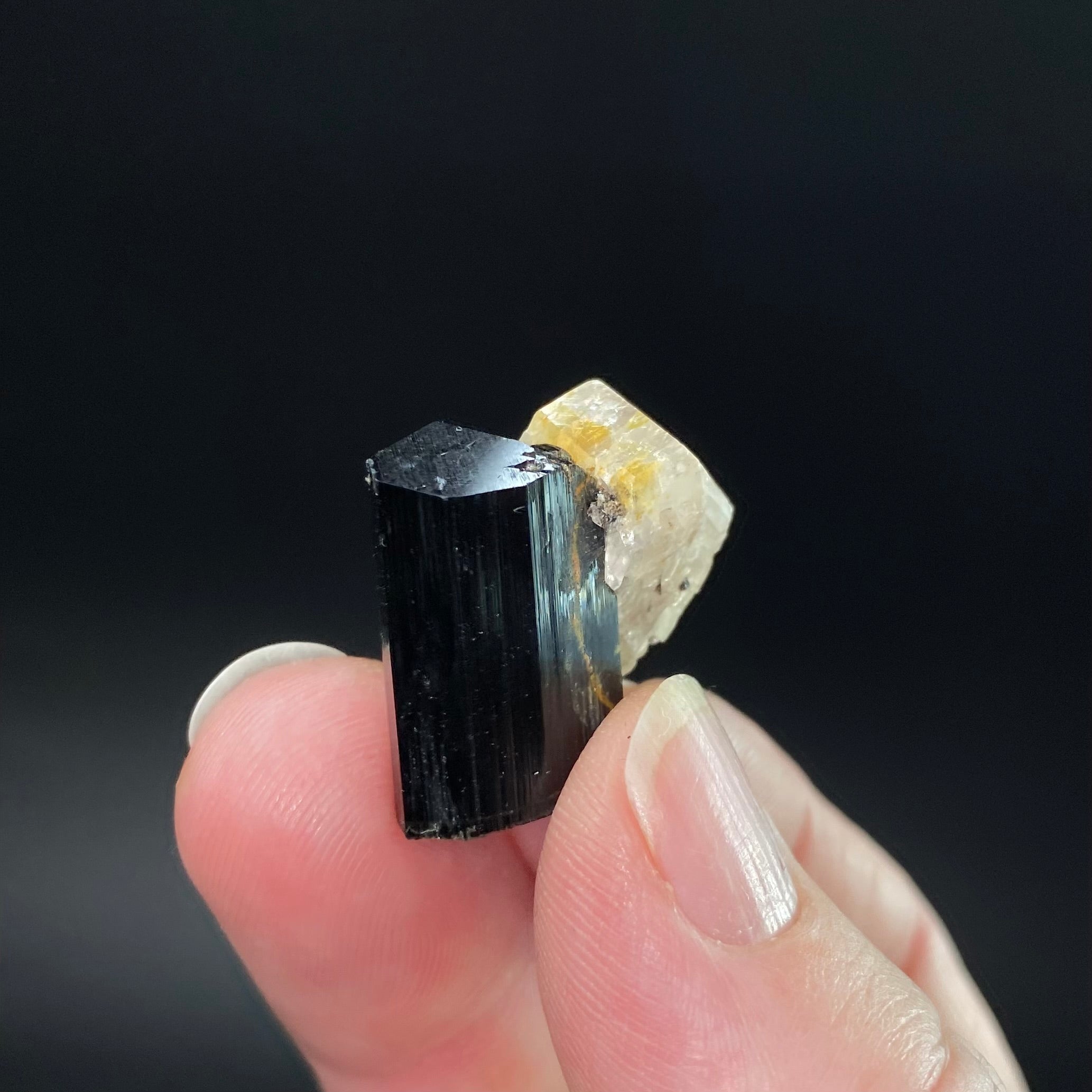 Double Terminated Apatite Crystal with Black Tourmaline and Albite