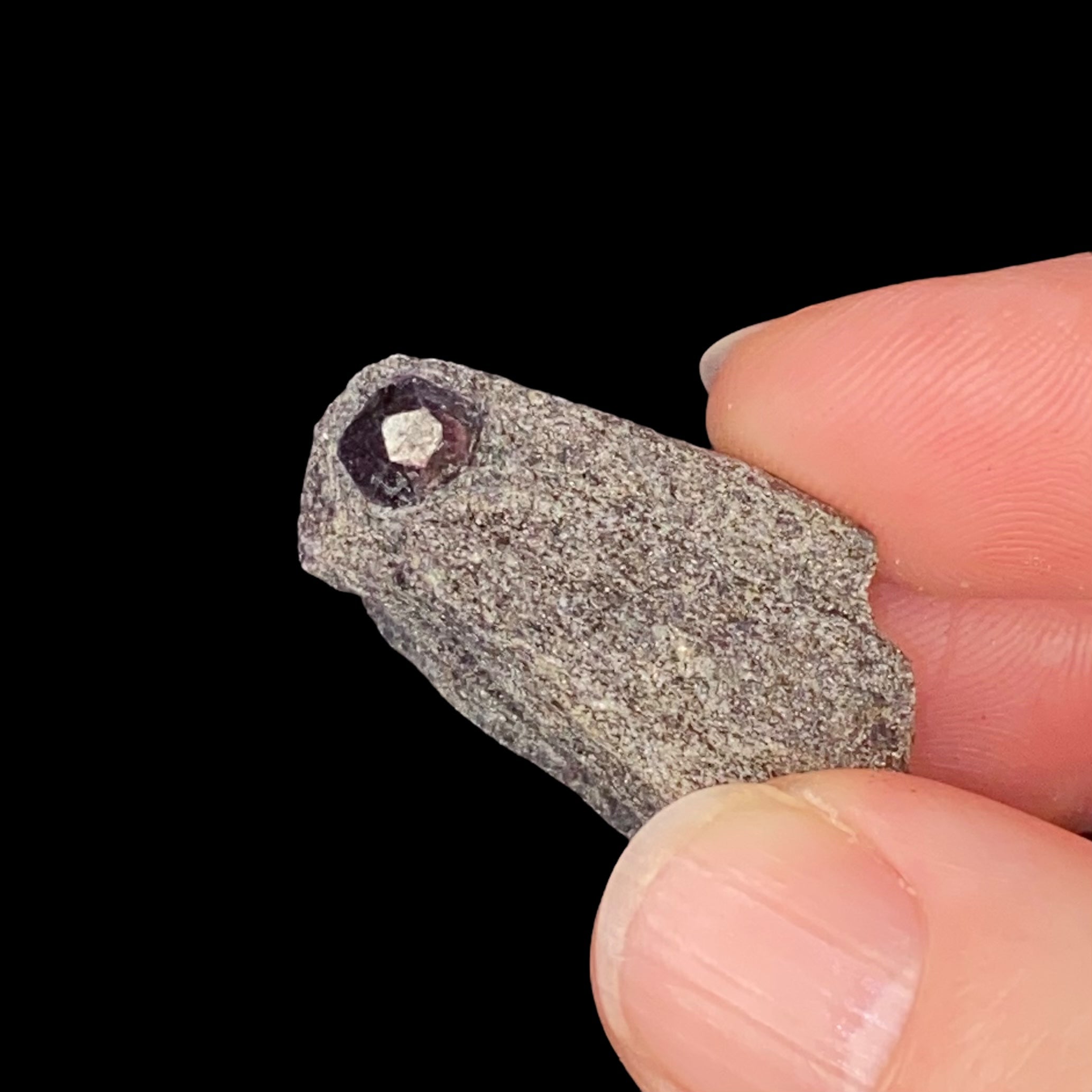 Almandine Garnet in Mica Schist, From the Famous Garnet Ledge, Wrangell, Alaska
