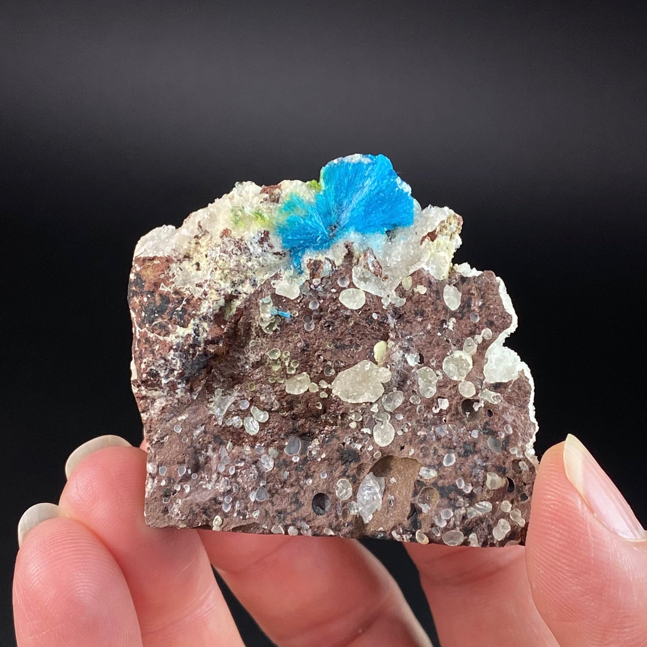 Vibrant Blue Cavansite Cluster on Druzy Quartz & Basalt Matrix