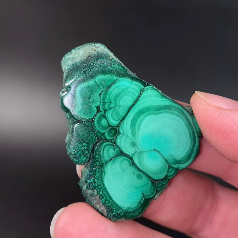 Malachite Polished Slice, Kolwezi, DR Congo