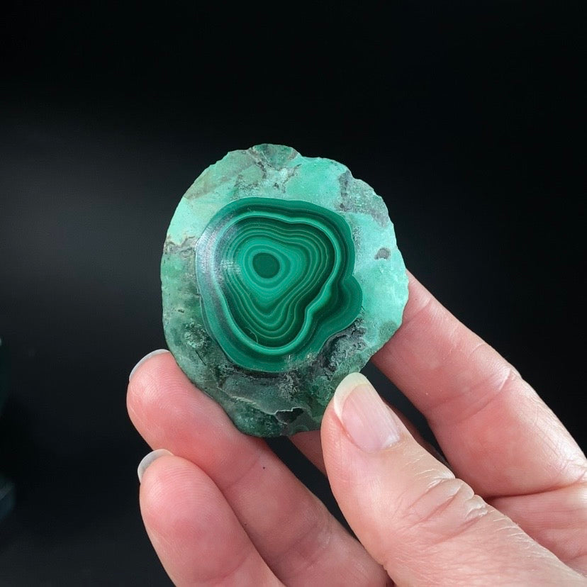 Malachite Polished Slice, Kolwezi, DR Congo