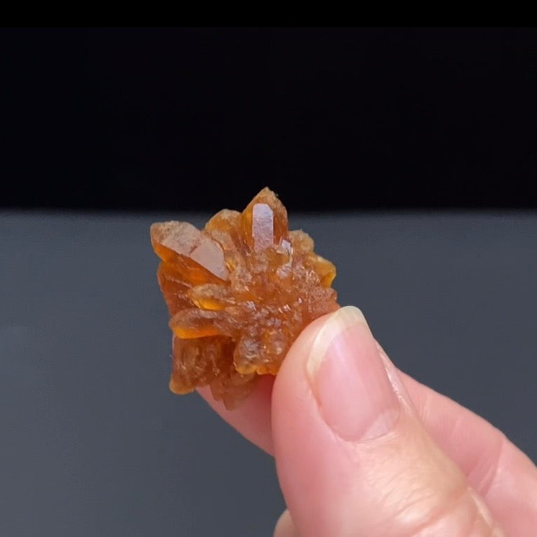 Floater Citrine Colored Honey Brown Quartz Flower Cluster - Midelt, Morocco