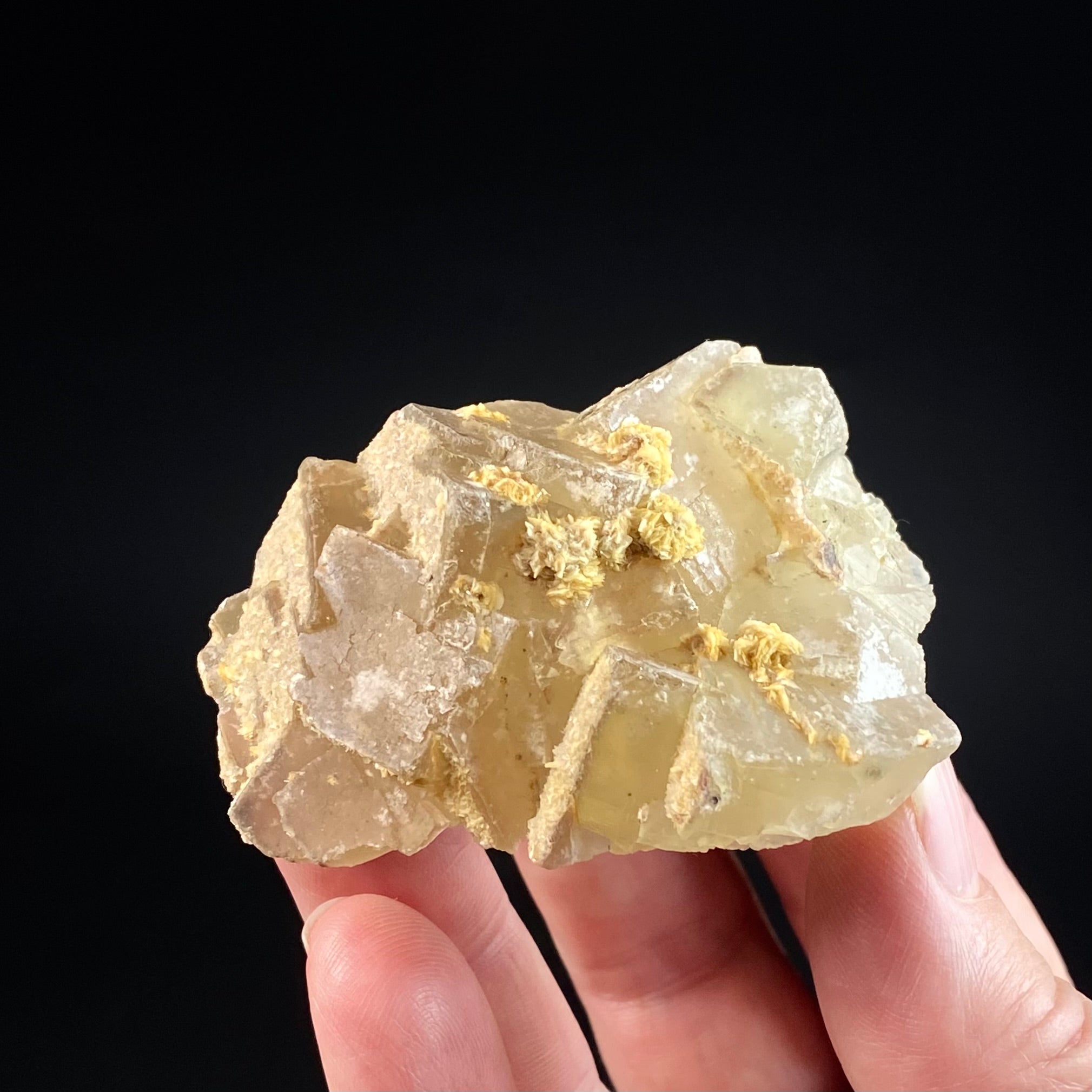 Yellow Cubic Fluorite Cluster with Barite, El Hammam Mine