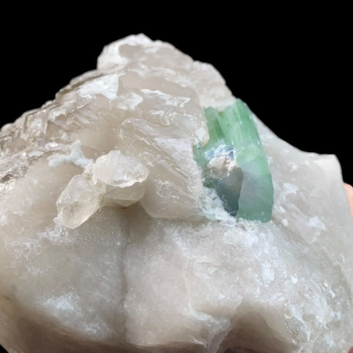 Green & Pink Watermelon Tourmaline with Smoky Quartz
