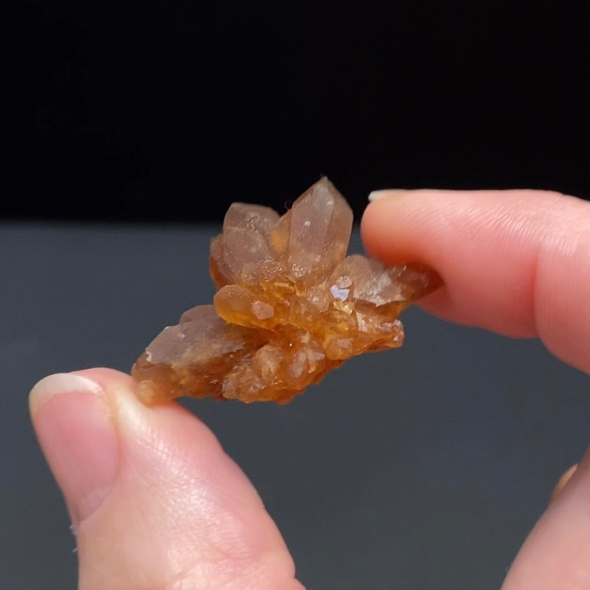 Floater Citrine Colored Honey Brown Quartz Flower Cluster - Midelt, Morocco