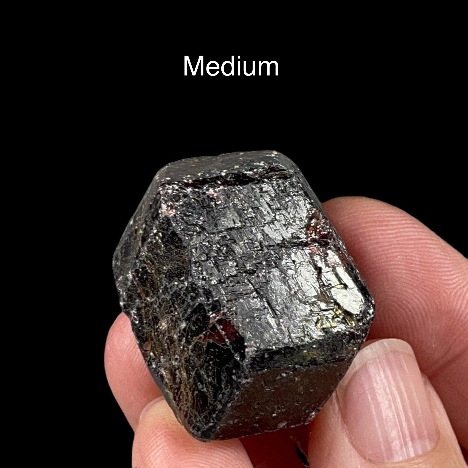 ONE (1) Almandine Garnet Crystal - 4 Sizes Available