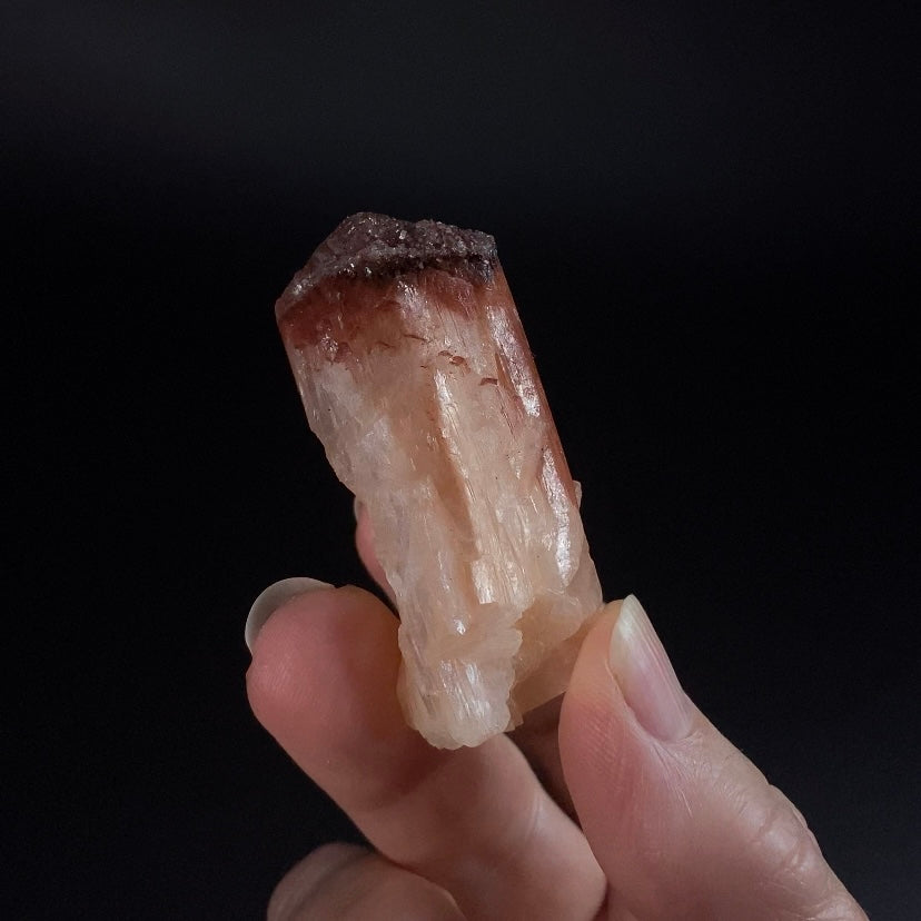 Peach and Red Hematite Stilbite Cluster, Maharashtra, India